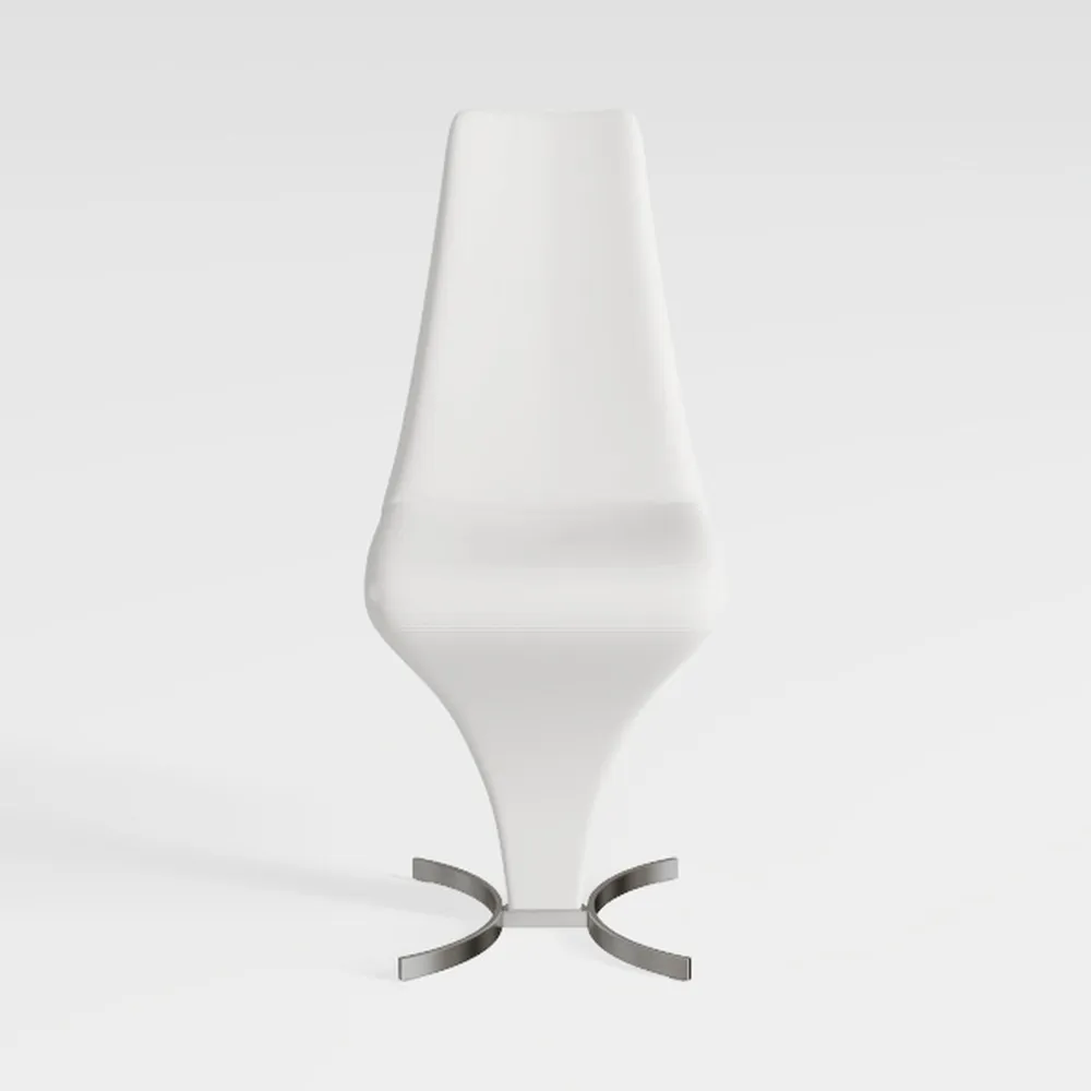 Dining Chairs Set of 2, Modern Kitchen Dining Room