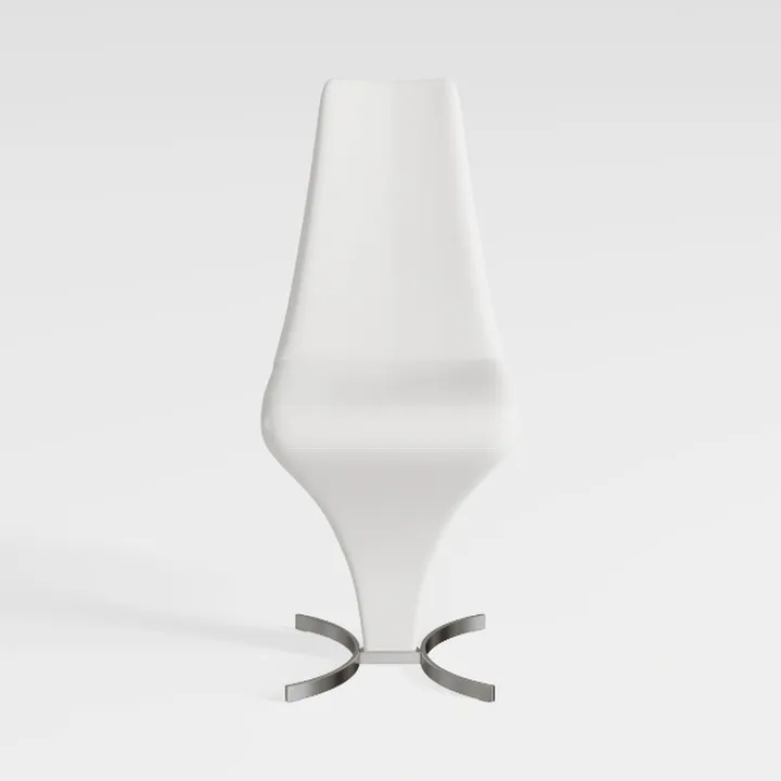 Dining Chairs Set of 2, Modern Kitchen Dining Room