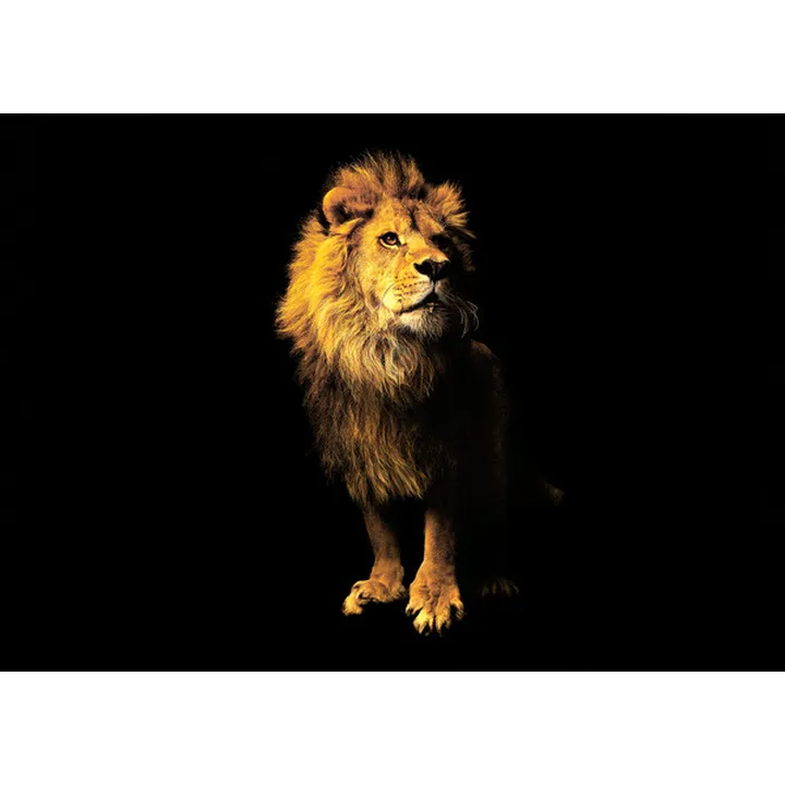 wallpaper-African Safari