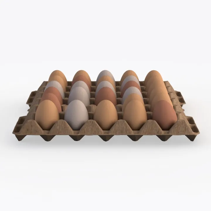 eggs-Sweet Suite