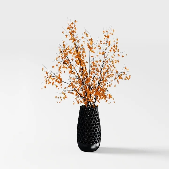 Marigold-Plant 2