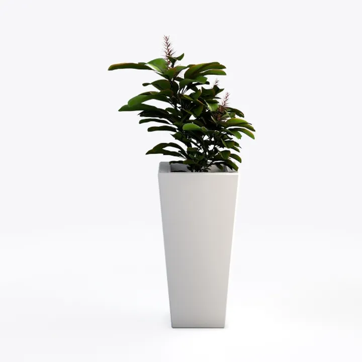 Minimalist White Potted Floor Plant 3D Model