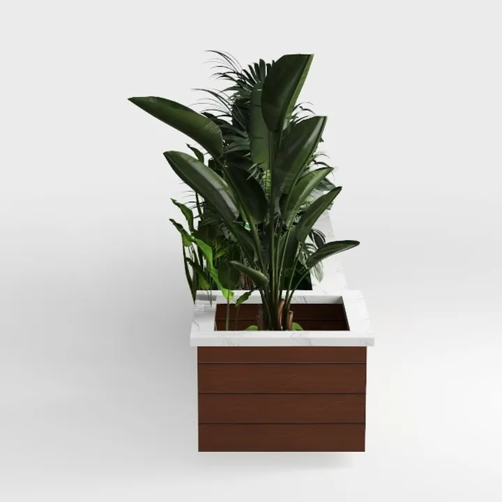 Artificial Dracaena Tree with White Tall Planter
