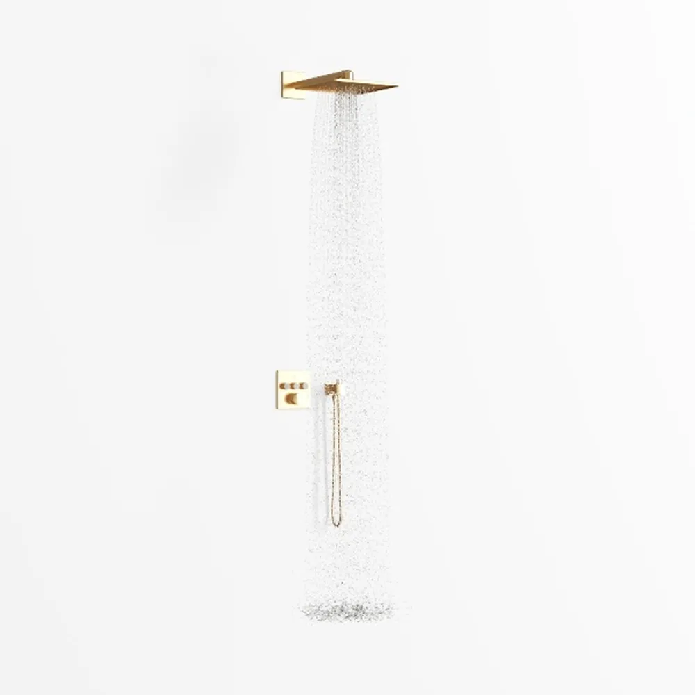 Shower System Dual Shower Heads with 12" Ceiling