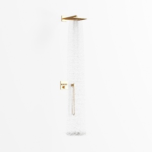 Shower System Dual Shower Heads with 12" Ceiling