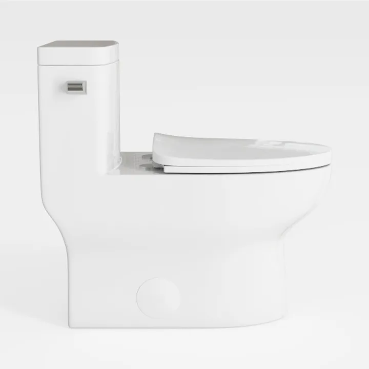 Electric Bidet Toilet Seat Elongated, Heated