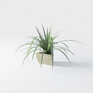 Minimalist Potted Greenery Desktop Decor 3D Model