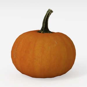 Pumpkin-Fruit & Veg Art