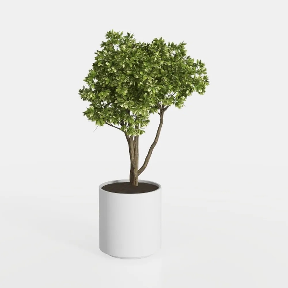Artificial Boxwood Topiary Ball Tree - 4' Boxwood