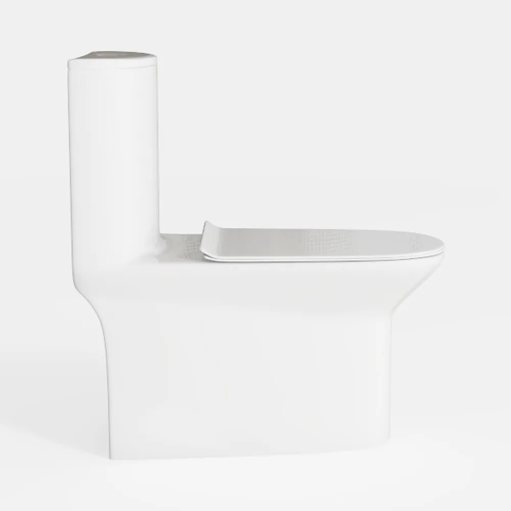 Dual Flush Elongated Standard One Piece Toilet for