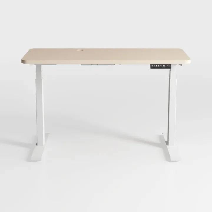 Modern Minimalist Electric Height Adjustable Standing Desk 3D Model