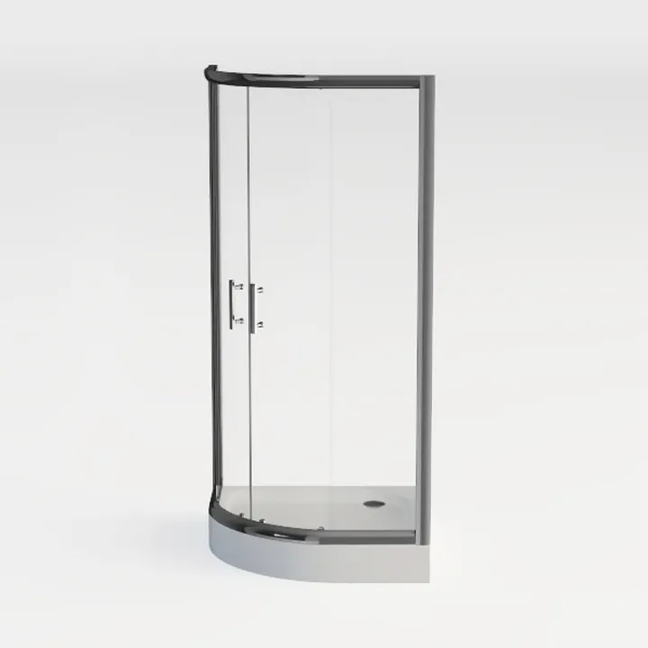 shower door 06