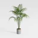 Minimalist Concrete Potted Palm Floor Plant 3D Model Front View