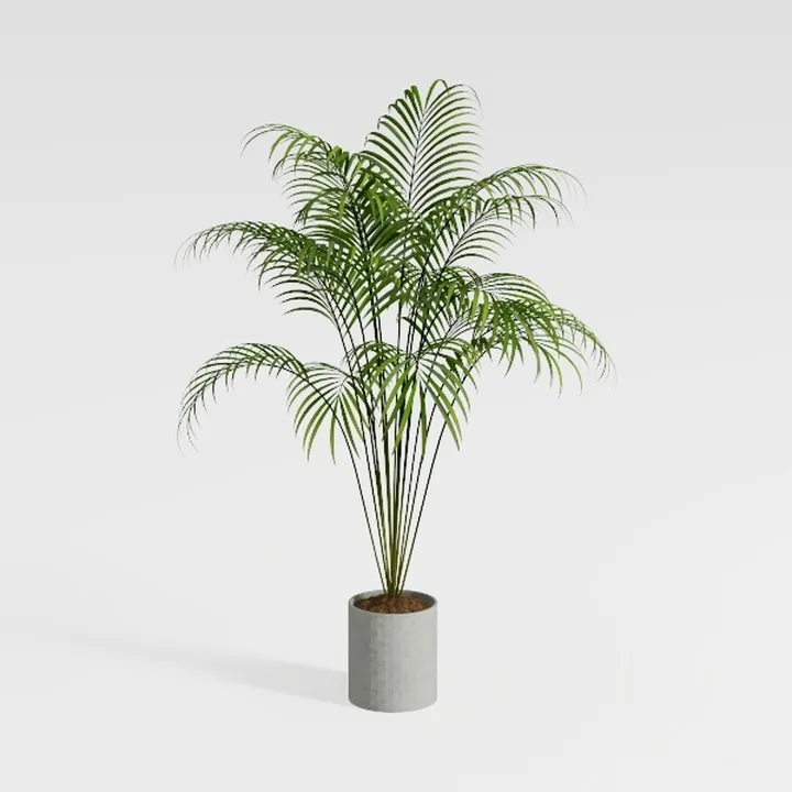 Minimalist Concrete Potted Palm Floor Plant 3D Model
