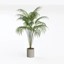 Minimalist Concrete Potted Palm Floor Plant 3D Model Left 45 Degree View