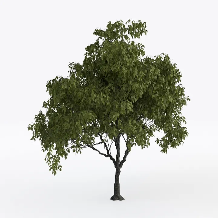 Fake Tree Faux Olive Tree Artificial Olive Trees
