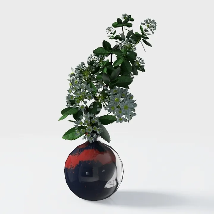 Costa Farms Money Tree, Large, Live Indoor Plant