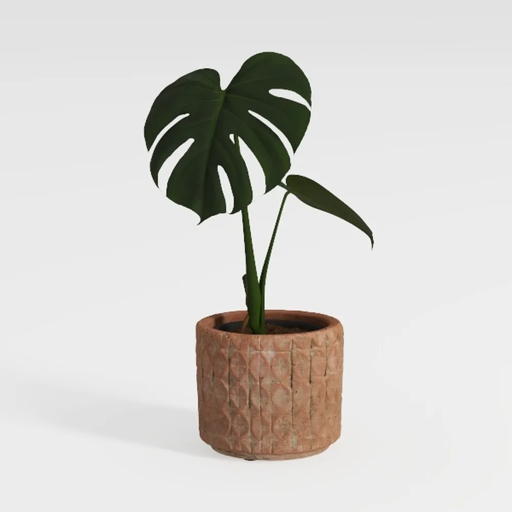 Water Hyacinth Round Floor Planter with Metal Pot 