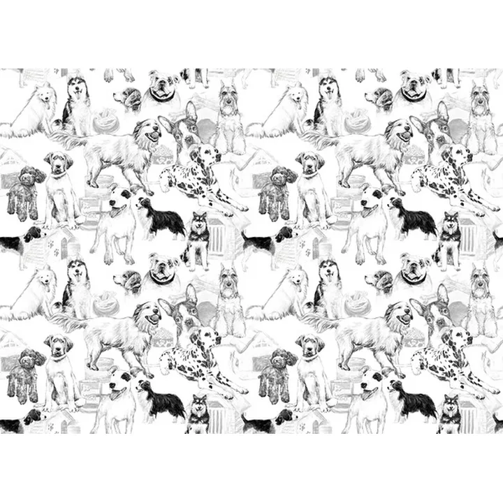 wallpaper-Dog Person