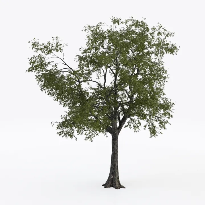 Artificial Tree Faux Olive Tree 8ft(3198leaves)