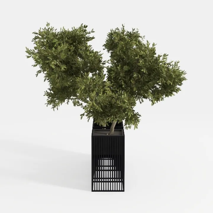 Modern Black Metal Rectangular Planter With Potted Tree 3D Model