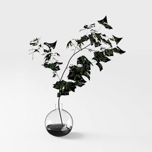 Designer Plant-86