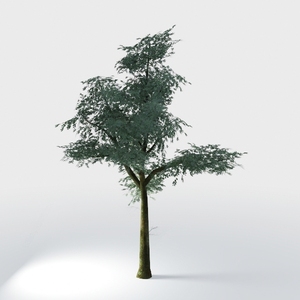 tree-Landscape Greenery