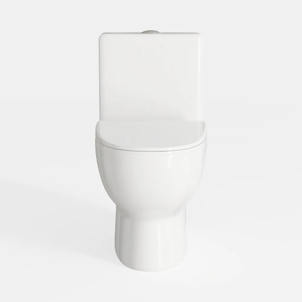 SUPERFLO Rear Outlet Toilet With 19 Inch Tall
