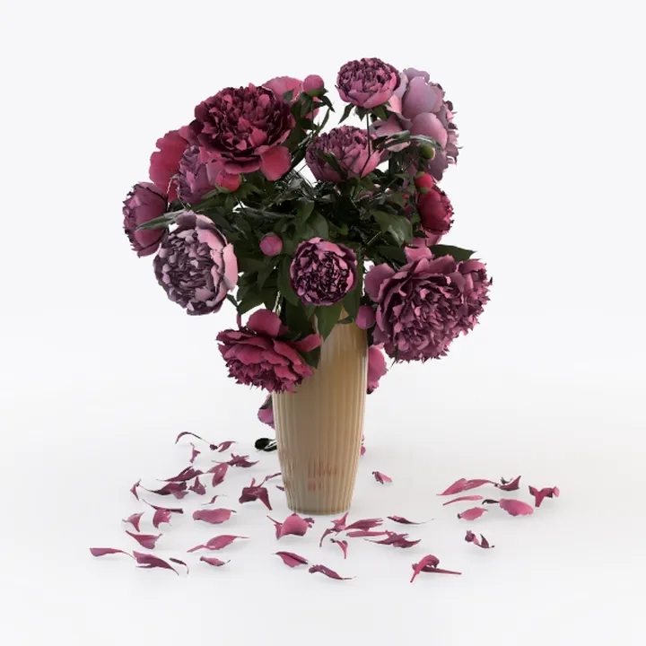 Red Dwaft Ixora Live Plant, 4 Inc to 7 Inc Tall