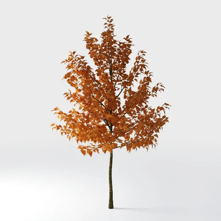 10ft Outdoor Artificial Palm Tree - UV Resistant