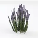 null Left 45 Degree View