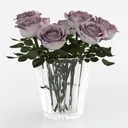 null Right 45 Degree View