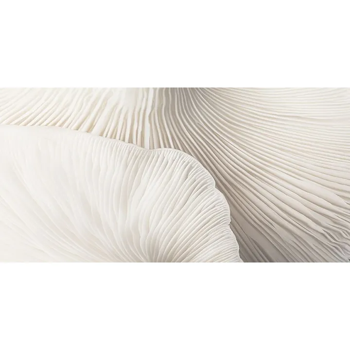 painting-Home Décor