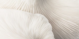 painting-Home Décor