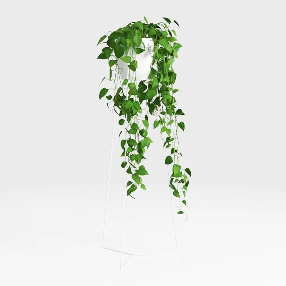 COCOBOO 1pcs Artificial Hanging Plants Fake Eucaly