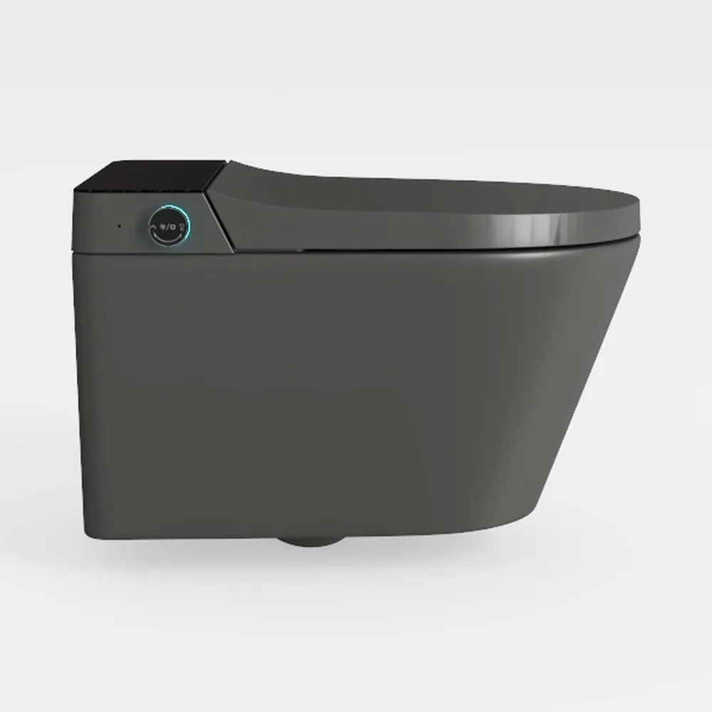 Smart Toilet,Tankless Toilets Dynamic Clean with