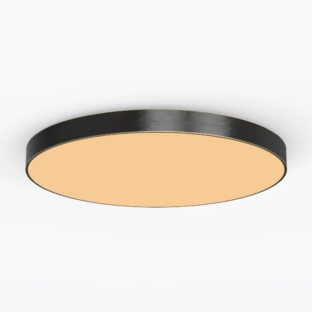 Bargeni Flush Mount Ceiling Light,12.5 inch LED