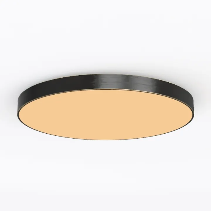 Bargeni Flush Mount Ceiling Light,12.5 inch LED