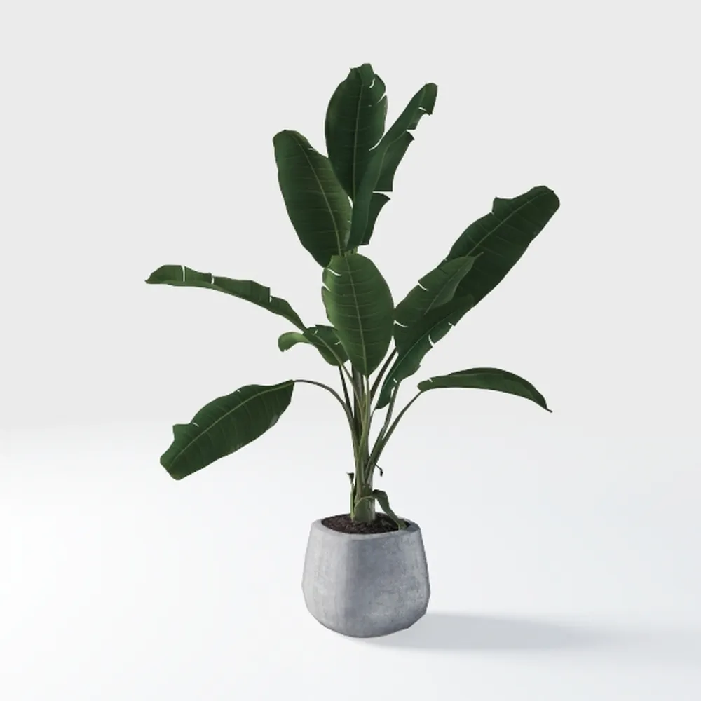 Artificial Bird of Paradise Plants 5Ft Fake