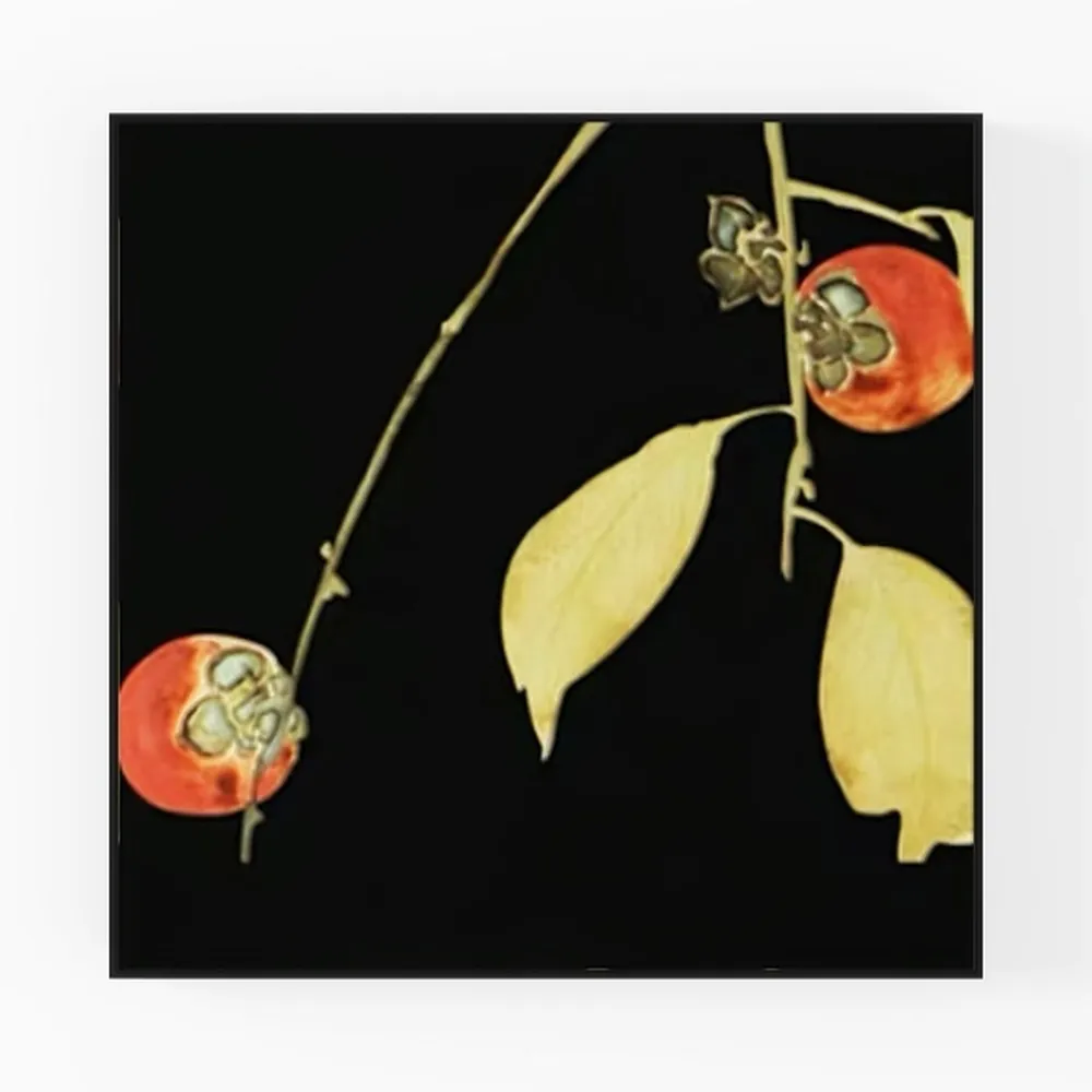 Zen Canvas Wall Art Calming White Lotus and Black