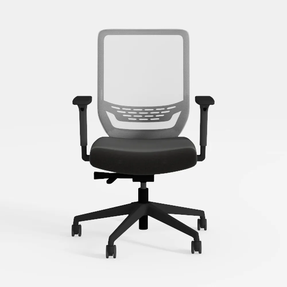 Schwake Ergonomic Office Chair Home Mesh Desk Chai