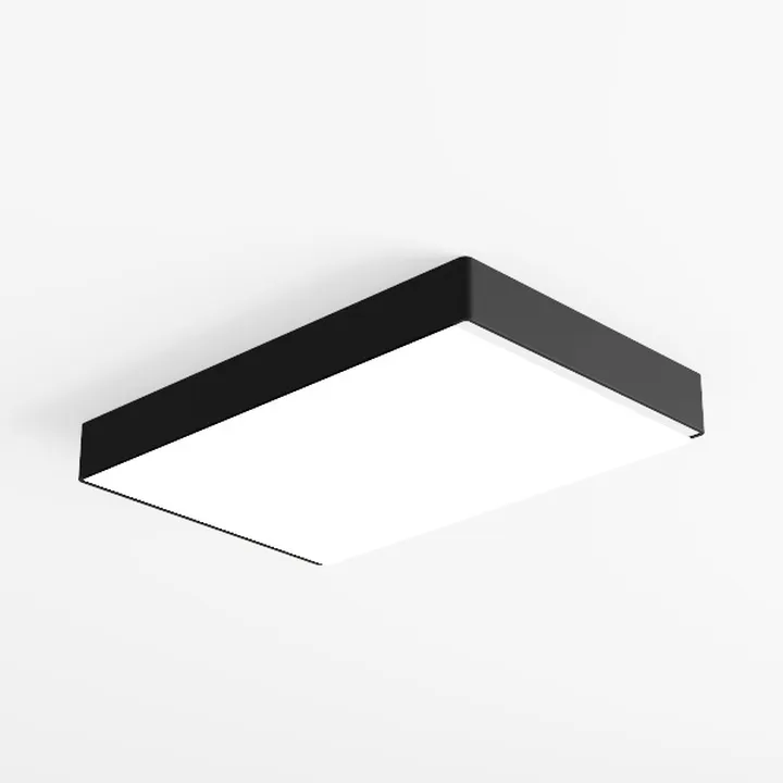 Modern LED Ceiling Light, Hallway Flush Mount