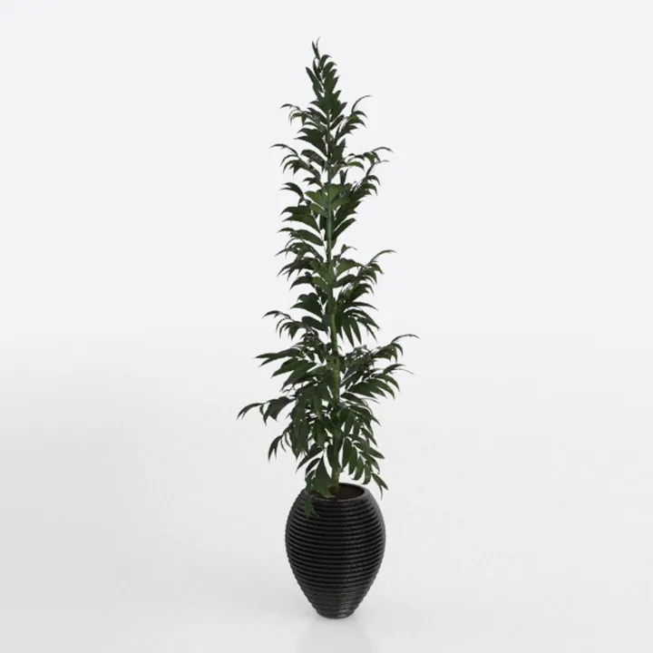 Minimalist Tall Potted Floor Plant 3D Model