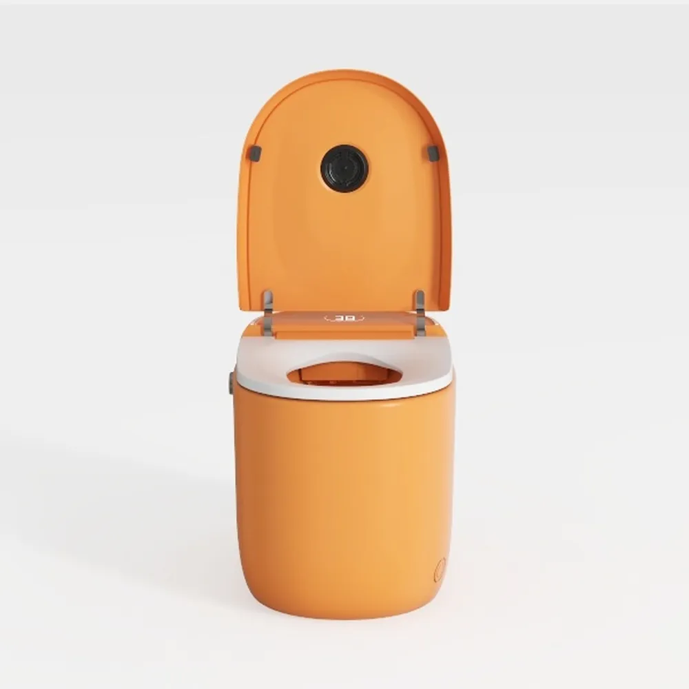 Simple Project Modern One-Piece Egg-Shaped Toilet 