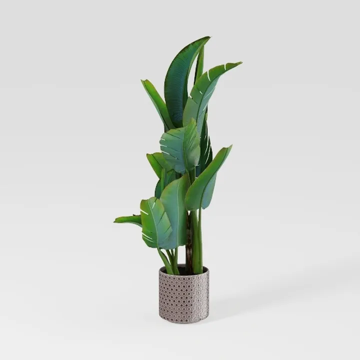 Costa Farms Peace Lily Live Plant, Decor Ready