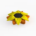 null Right 45 Degree View