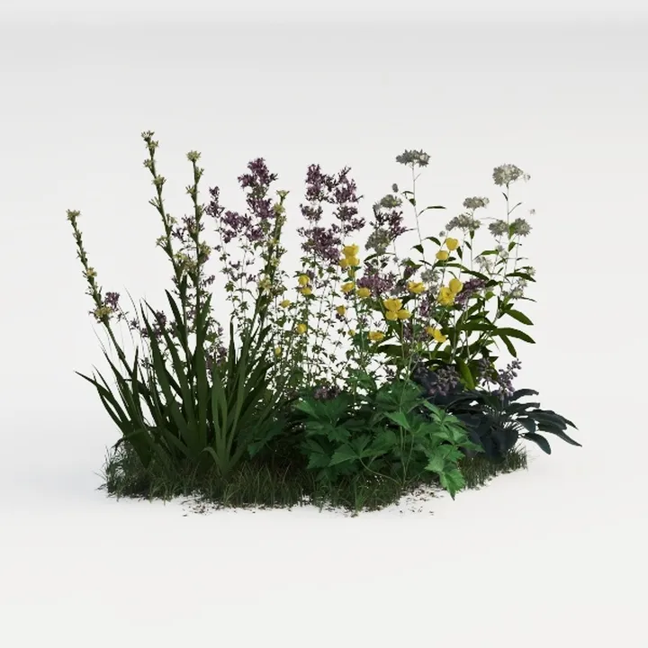 perennial border-Cozy Garden