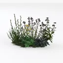 perennial border-Cozy Garden Left 45 Degree View