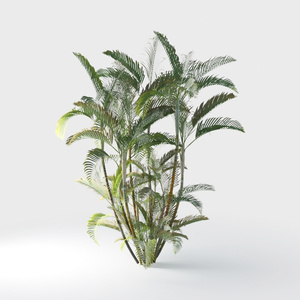 Open-air Cafe-plants 24.max