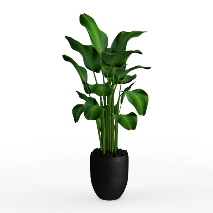 Minimalist Black Potted Faux Bird of Paradise Plant 3D Model